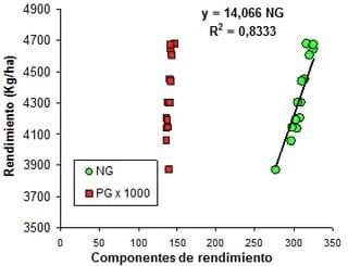Fijación de nitrógeno y promoción del crecimiento por el uso de microorganismos en soja - Image 3