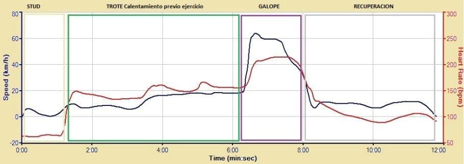 Evaluación de Performance en Equinos a Campo - Image 3