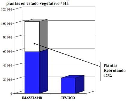 Potenciales de Reinfestación de Solanum Sisymbrifolium en el cultivo de Soja - Image 5