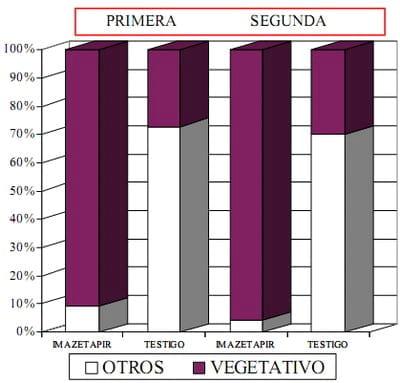 Potenciales de Reinfestación de Solanum Sisymbrifolium en el cultivo de Soja - Image 4