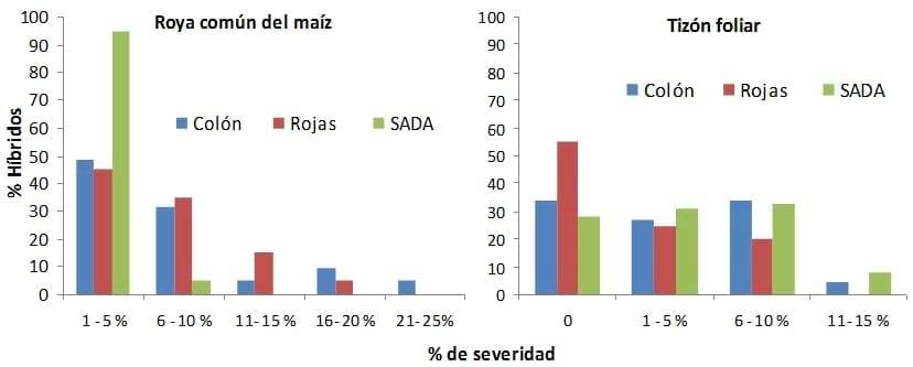 Comportamiento sanitario de híbridos de maíz en la zona norte de la Provincia de Buenos Aires - Image 1