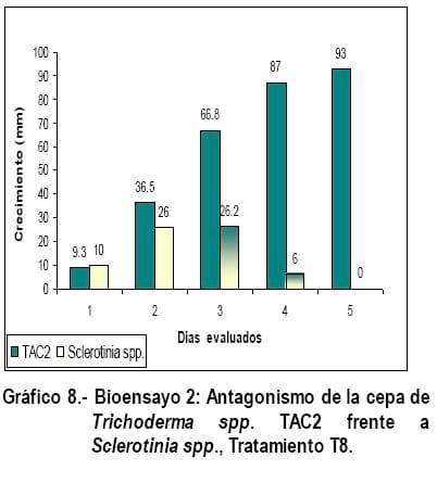 Cultivo In Vitro de Trichoderma spp. y su antagonismo frente a hongos fitopatógenos - Image 14