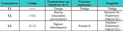 Evaluación de inoculantes y bioinductores en soja. Efectos sobre la nodulación, el rendimiento y su interacción con Prácticas de manejo - Image 2