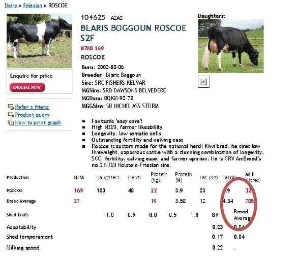 ¿Sabe Usted en que se basa el criterio de selección genética de un toro Neozélandes? - Image 8