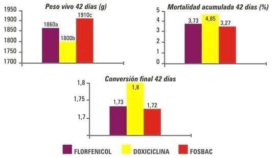 Eficacia de Fosbac contra una infección respiratoria de Escherichia Coli el pollos: un ensayo a campo - Image 2
