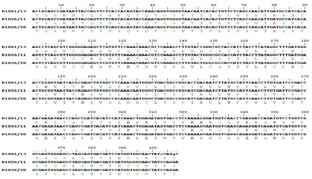 Caracterización genética de cepas de campo del virus de la afeccion de la bolsa de fabricio detectadas en granjas de pollo de engorda en el Estado de Nuevo León - Image 6