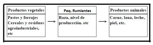 Caracterización de los sistemas de producción campesina de los pequeños rumiantes bajo el enfoque sistémico. Revisión Bibliográfica - Image 1