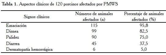 Hallazgos Histopatológicos, Hibridización in situ y Estudio Ultraestructural del Síndrome de Emaciación Multisistémico Porcino (PMWS) en Granjas en Venezuela - Image 1