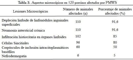 Hallazgos Histopatológicos, Hibridización in situ y Estudio Ultraestructural del Síndrome de Emaciación Multisistémico Porcino (PMWS) en Granjas en Venezuela - Image 11