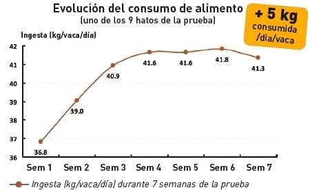 La eficiencia de T5X SD en el desempeño zootécnico de vacas lecheras enfrentando sospecha de problemas con micotoxinas - Image 6