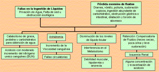 Notas clínicas – Alteraciones de los fluidos corporales, electrolitos y balance ácido-base - Image 1