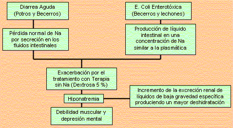 Notas clínicas – Alteraciones de los fluidos corporales, electrolitos y balance ácido-base - Image 3