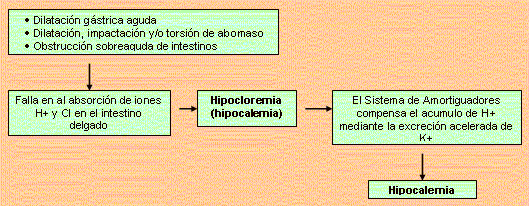Notas clínicas – Alteraciones de los fluidos corporales, electrolitos y balance ácido-base - Image 5