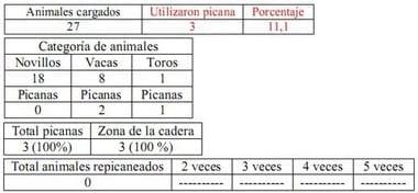Trabajo Exploratorio Sobre la Utilización de Picanas en Atracaderos Durante la Carga de Hacienda en Camiones, en el Mercado de Liniers. - Image 5