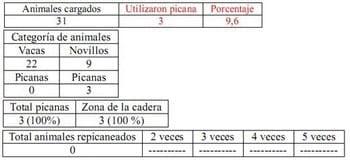 Trabajo Exploratorio Sobre la Utilización de Picanas en Atracaderos Durante la Carga de Hacienda en Camiones, en el Mercado de Liniers. - Image 6