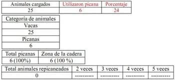 Trabajo Exploratorio Sobre la Utilización de Picanas en Atracaderos Durante la Carga de Hacienda en Camiones, en el Mercado de Liniers. - Image 9