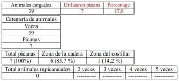 Trabajo Exploratorio Sobre la Utilización de Picanas en Atracaderos Durante la Carga de Hacienda en Camiones, en el Mercado de Liniers. - Image 13
