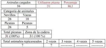 Trabajo Exploratorio Sobre la Utilización de Picanas en Atracaderos Durante la Carga de Hacienda en Camiones, en el Mercado de Liniers. - Image 20