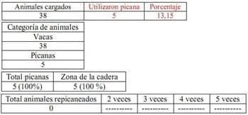 Trabajo Exploratorio Sobre la Utilización de Picanas en Atracaderos Durante la Carga de Hacienda en Camiones, en el Mercado de Liniers. - Image 26