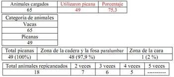 Trabajo Exploratorio Sobre la Utilización de Picanas en Atracaderos Durante la Carga de Hacienda en Camiones, en el Mercado de Liniers. - Image 31