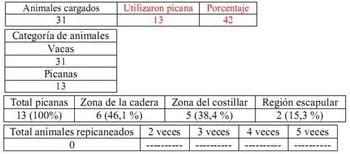 Trabajo Exploratorio Sobre la Utilización de Picanas en Atracaderos Durante la Carga de Hacienda en Camiones, en el Mercado de Liniers. - Image 32