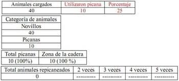 Trabajo Exploratorio Sobre la Utilización de Picanas en Atracaderos Durante la Carga de Hacienda en Camiones, en el Mercado de Liniers. - Image 33
