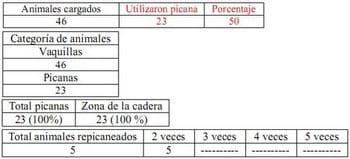 Trabajo Exploratorio Sobre la Utilización de Picanas en Atracaderos Durante la Carga de Hacienda en Camiones, en el Mercado de Liniers. - Image 34