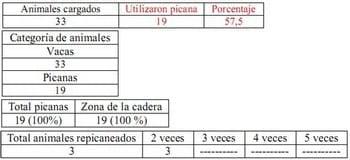 Trabajo Exploratorio Sobre la Utilización de Picanas en Atracaderos Durante la Carga de Hacienda en Camiones, en el Mercado de Liniers. - Image 35