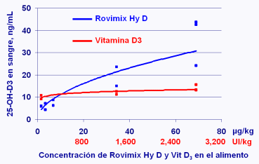 Importancia de la absorción de la Vitamina D3 - Image 3