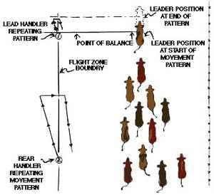 La zona de fuga y el punto de balance: ¿Cómo entenderlos? - Image 7