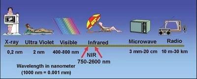 Espectroscopia de Infrarrojo Cercano (NIRs) - La técnica de análisis rápidos del futuro - Image 2