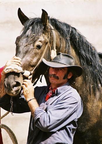 Entrenamiento Emocional asistido con caballos - Image 3