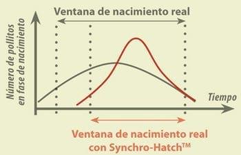 Synchro-Hatch: Incubación máxima, ventana mínima. Maximización de los últimos días - Image 2