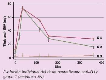Prueba de inmunogenicidad en vacunas para Rinoneumonitis Equina - Image 1