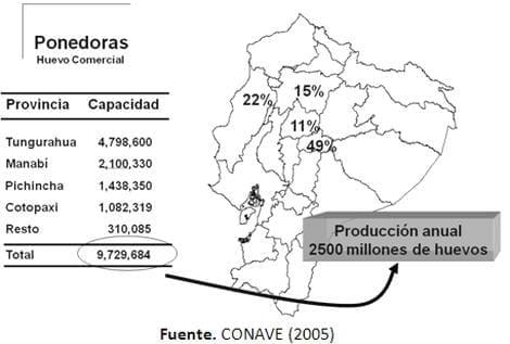 La Industria Avícola Ecuatoriana - Image 2