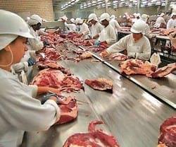 Valor Agregado en la comercialización de la carne - Image 4