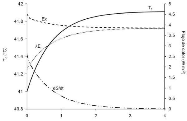 Un modelo mecanistico dinamico para estimar la temperatura corporal de un pollo parrillero subitamente expuesto al calor - Image 1