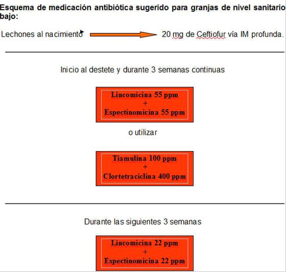 Estrategias antibioticas para el control de Enfermedades bacterianas respiratorias y entericas mas comunes en granjas porcinas - Image 8