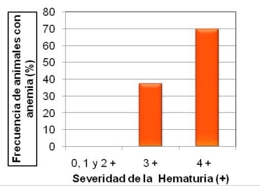 Reporte de casos de hematuria enzoótica bovina por ingestión de pteridium arachnoideum en la región ganadera de San Miguel de Bolívar, Ecuador - Image 6