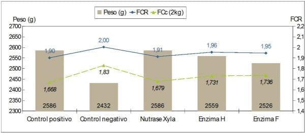 Validación del modelo de predicción de la mejora de energia metabolizable por nutrase Xyla en dietas a base de maíz para pollos de engorde - Image 1