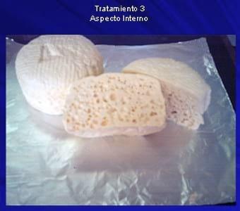 Selección y utilización de tres tipo de latobacilos con levaduras kliveromisis lactis sp fragilis para la elaboracion de queso palmita con características organolépticas similares a los de los palmitas comerciales - Image 16