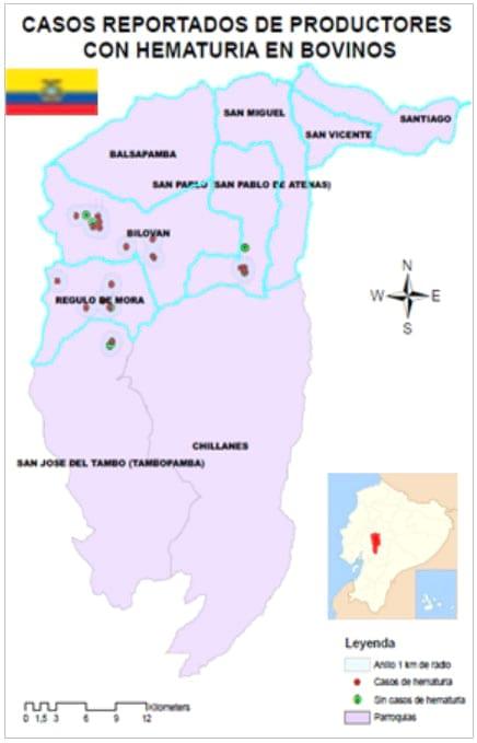 Reporte de casos de hematuria enzoótica bovina por ingestión de pteridium arachnoideum en la región ganadera de San Miguel de Bolívar, Ecuador - Image 2