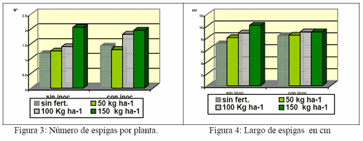 Relación entre la inoculación con Azospirillum y la fertilización con fosfato di amónico en el cultivo de trigo - Image 2