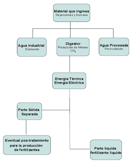 Producción de Biogás - Image 4