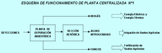 Produccion de Biogas – Plantas Centralizadas y Simplificadas - Image 3