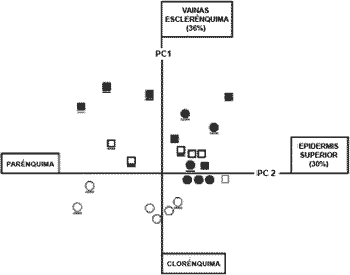 Porcentajes de tejidos lentamente digestibles e indigestibles en Elytrigia scabrifolia y E. scabriglumis - Image 2