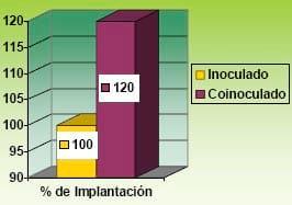 Incidencia de la Coinoculación de Soja (Glycine max) con Azospirillum brasilense y Bradyrhizobium japonicum en la eficiencia de implantación - Image 4
