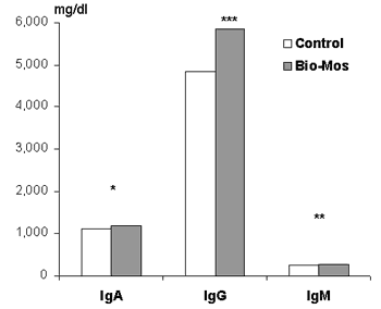 Efectos de la suplementación dietética con oligosacáridos mananos sobre el rendimiento de cerdas comerciales y sus camadas - Image 1