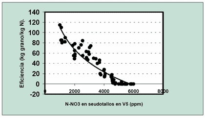Consideraciones sobre la fertilización nitrogenada de trigo en la región central de Santa Fe - Image 11