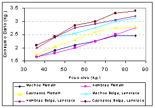 Impacto de las variables que determinan el desarrollo magro del cerdo. (Primera Parte) - Image 1